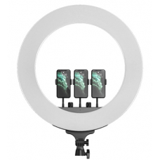 Кольцевая светодиодная лампа с 3-мя держателями M22 (55 см) LED Soft Ring Light (white) Кольцевая светодиодная лампа с 3-мя держателями M22 (55 см) LED Soft Ring Light (white)