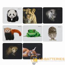 Коврик для мыши Defender Wild Animals 220x180x2мм ассорти (1/8/200) Коврик для мыши Defender Wild Animals 220x180x2мм ассорти (1/8/200)